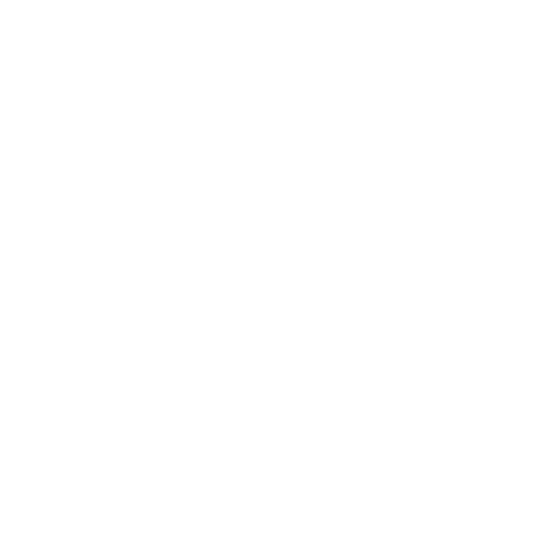 Instagram Icon