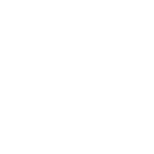 Instagram Icon